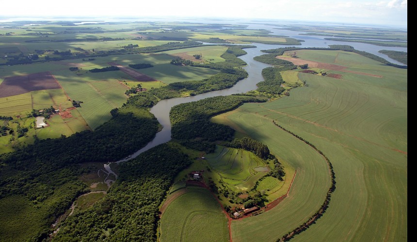 Com amplo reflorestamento, Rio Iguaçu tem maior volume de água em 12 anos