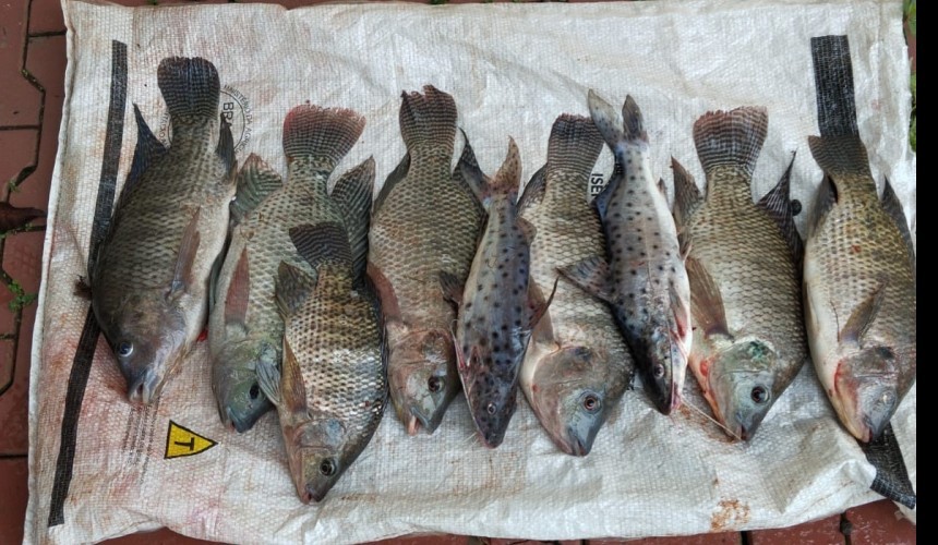 Homem é detido pescando no Lago Municipal em Capitão