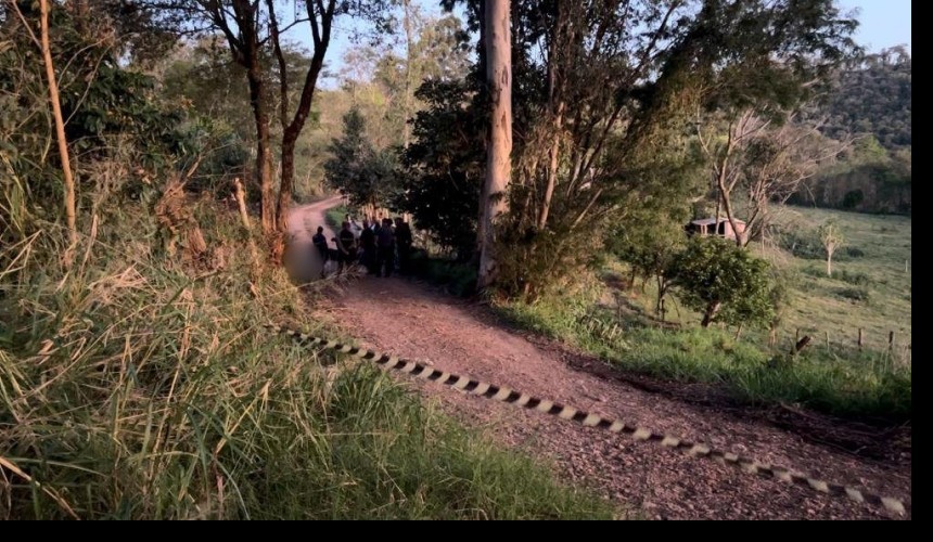 Homem morre após ser atingido por árvore em Pinhal de São Bento