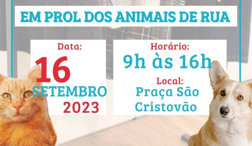 Para arrecadar fundos, S.O.S 4 Patas irá realizar bazar beneficente em Capitão