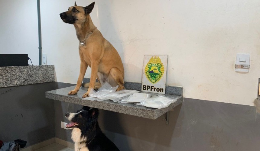 Cães do BPFron encontram drogas em fundo falso de mala em Cascavel