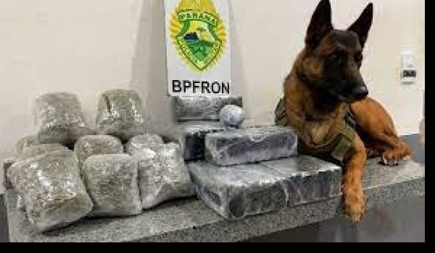 Jovem é detida pelo BPFron com quase R$ 50 mil em drogas na rodoviária de Cascavel