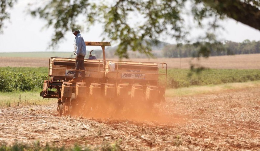 Após vazio sanitário, plantio de soja já começou no Paraná