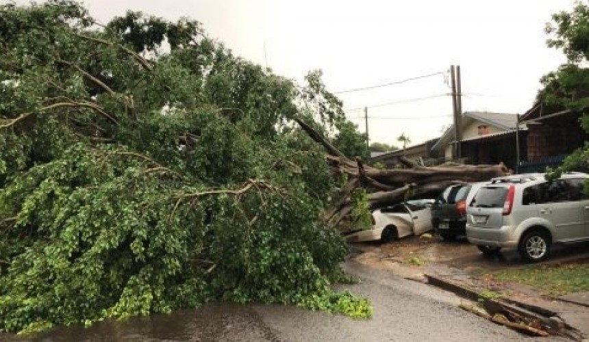 Temporal em Cascavel: 59 mil unidades consumidoras ficaram sem energia elétrica