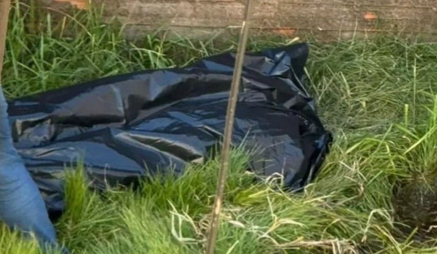Corpo em estado de decomposição é encontrado em terreno em Foz do Iguaçu
