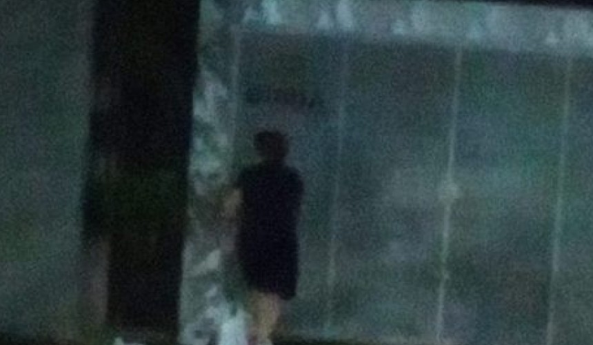 Inusitado: mulher é flagrada furtando samambaias de fachada de comércio em Cascavel