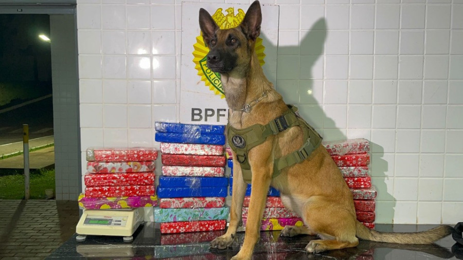 Mulher é detida na rodoviária de Cascavel com 23 quilos de maconha em mala de viagem