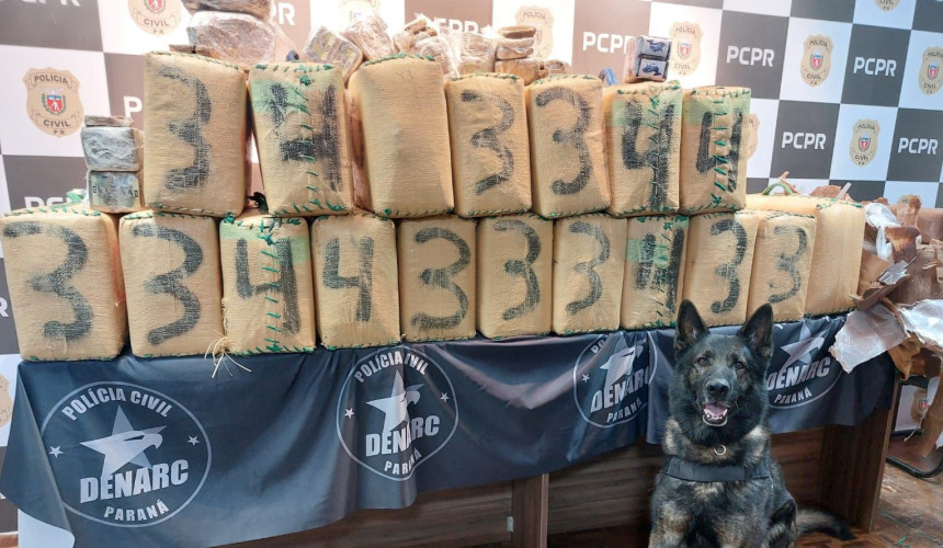 Polícia Civil realiza maior apreensão de haxixe da história do Paraná