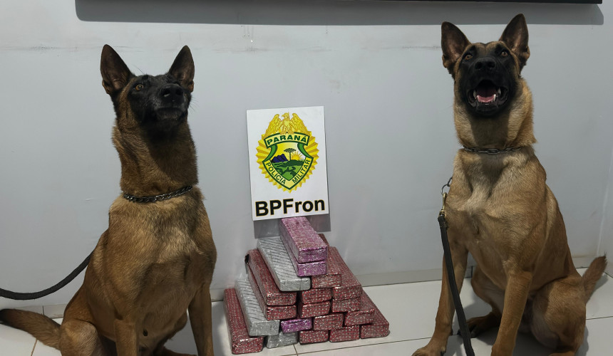 Homem é preso transportando 15 quilos de maconha em Realeza